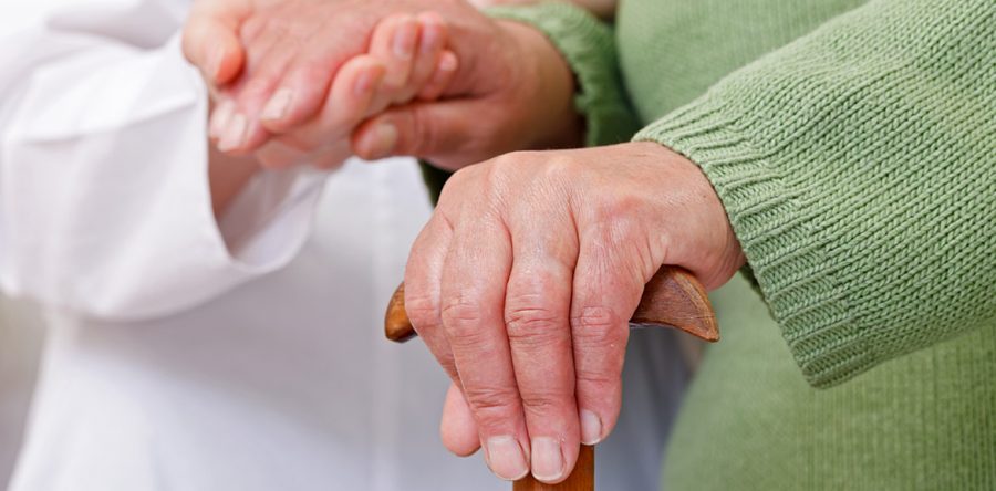 Etiam dictum egestas